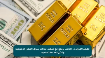 خفض الفائدة.. الذهب يرتفع مع ضعف بيانات سوق العمل الأمريكية وتأثيراتها الاقتصادية.